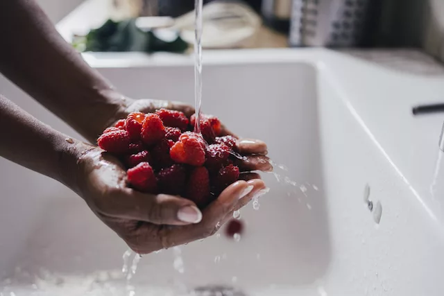 washing berries 